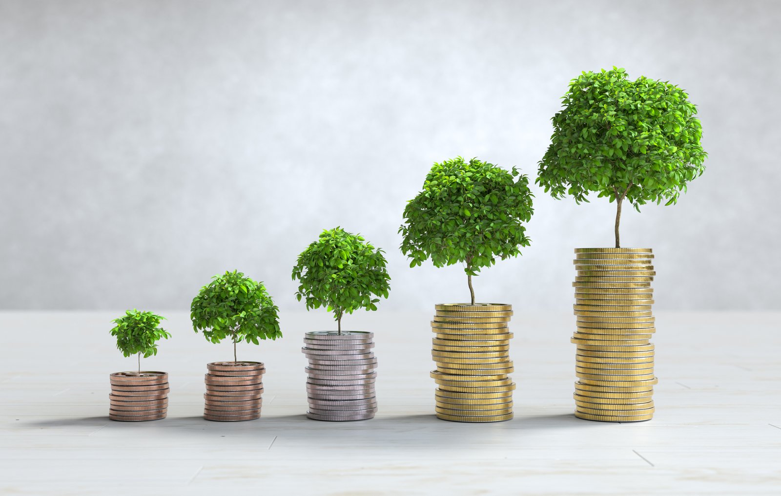Build wealth using loan
