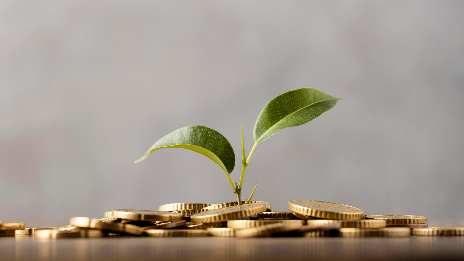 how to build wealth using real estate